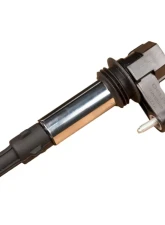 Delphi Ignition Coil                                     - GN10309 - Image 7