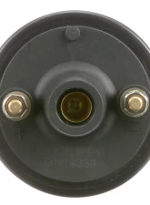 Delphi Ignition Coil                                     - GN10339 - Image 7