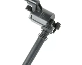 Delphi Ignition Coil