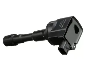 Delphi Ignition Coil