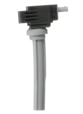 Delphi Ignition Coil                                     - GN10742 - Image 2