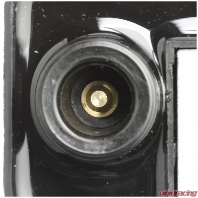 Delphi Ignition Coil BMW - GN10915