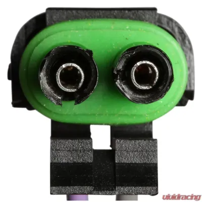 Delphi Fuel Pump Hanger Assembly - HP10021