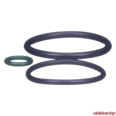 Delphi Fuel Injection Nozzle O-Ring Kit - HTK112