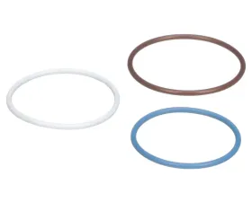 Delphi Fuel Injection Nozzle O-Ring Kit
