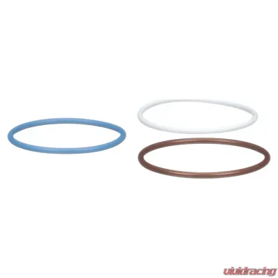 Delphi Fuel Injection Nozzle O-Ring Kit - HTK116