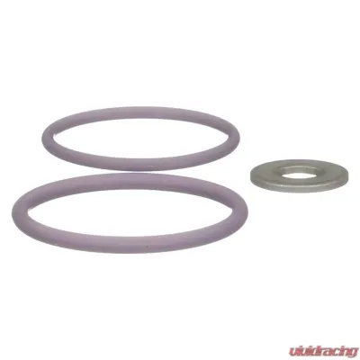 Delphi Fuel Injection Nozzle O-Ring Kit - HTK121
