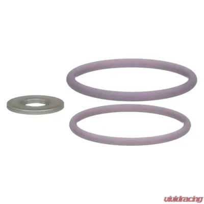 Delphi Fuel Injection Nozzle O-Ring Kit - HTK121