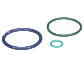 Delphi Fuel Injection Nozzle O-Ring Kit