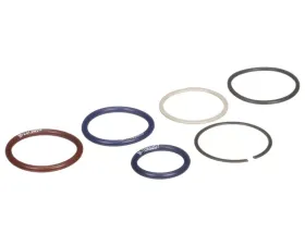 Delphi Fuel Injection Nozzle O-Ring Kit