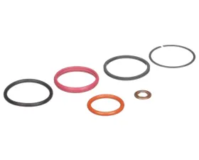 Delphi Fuel Injection Nozzle O-Ring Kit