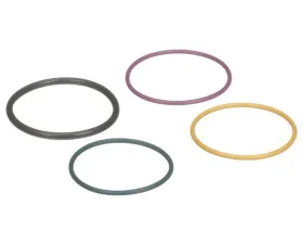Delphi Fuel Injection Nozzle O-Ring Kit