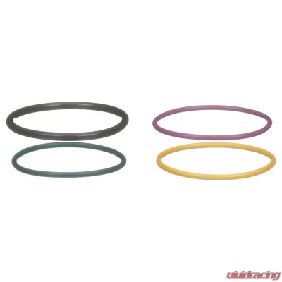 Delphi Fuel Injection Nozzle O-Ring Kit - HTK129