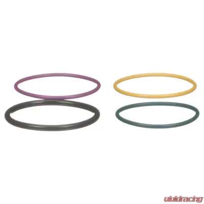 Delphi Fuel Injection Nozzle O-Ring Kit - HTK129