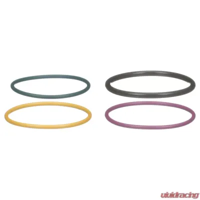 Delphi Fuel Injection Nozzle O-Ring Kit - HTK129