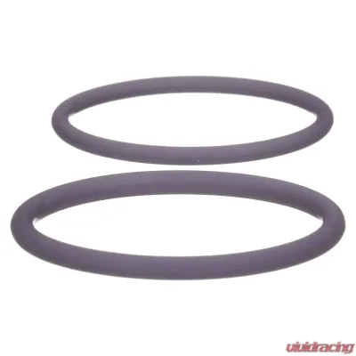 Delphi Fuel Injection Nozzle O-Ring Kit - HTK131