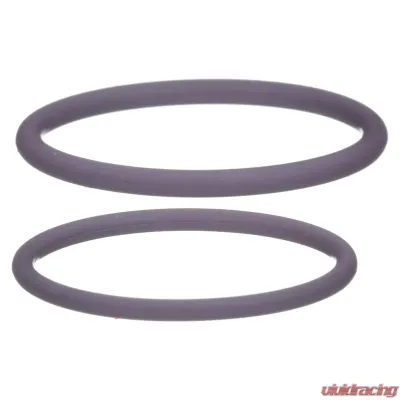 Delphi Fuel Injection Nozzle O-Ring Kit - HTK131