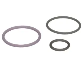 Delphi Fuel Injection Nozzle O-Ring Kit