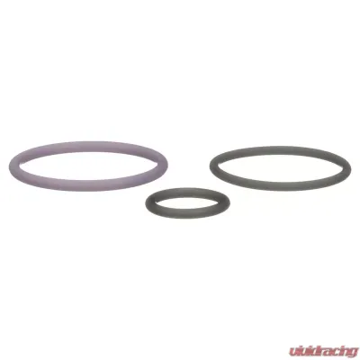 Delphi Fuel Injection Nozzle O-Ring Kit - HTK132