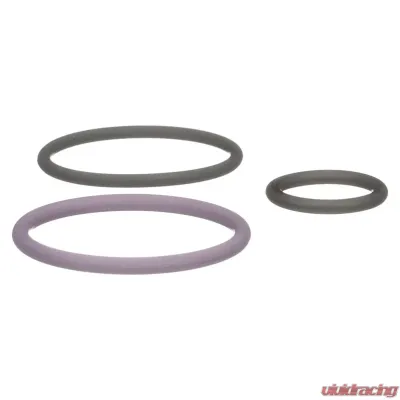 Delphi Fuel Injection Nozzle O-Ring Kit - HTK132