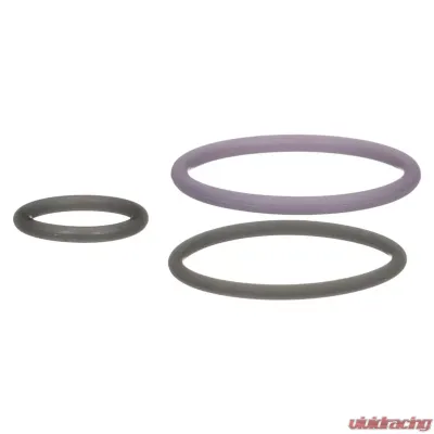 Delphi Fuel Injection Nozzle O-Ring Kit - HTK132