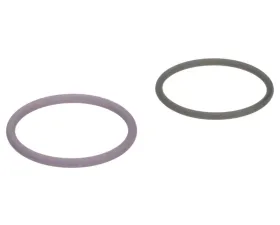 Delphi Fuel Injection Nozzle O-Ring Kit