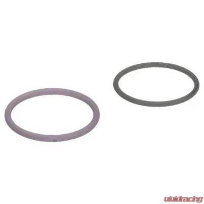 Delphi Fuel Injection Nozzle O-Ring Kit - HTK133