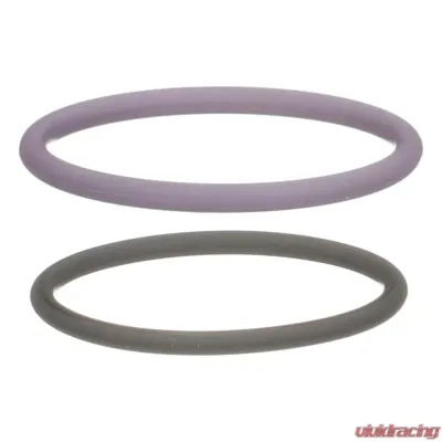 Delphi Fuel Injection Nozzle O-Ring Kit - HTK133