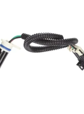 Delphi Engine Camshaft Position Sensor                                     - SS10044 - Image 6
