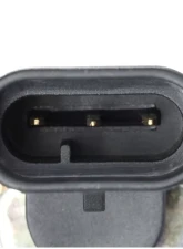 Delphi Engine Crankshaft Position Sensor                                     - SS10176 - Image 4