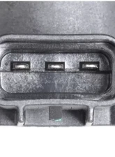 Delphi Engine Camshaft Position Sensor                                     - SS10499 - Image 4