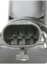 Delphi Engine Camshaft Position Sensor                                     - SS10817 - Image 3