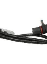 Delphi Engine Crankshaft Position Sensor                                     - SS10930 - Image 2