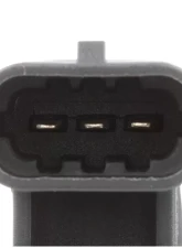 Delphi Engine Camshaft Position Sensor                                     - SS11030 - Image 4