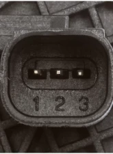 Delphi Engine Crankshaft Position Sensor                                     - SS11090 - Image 4