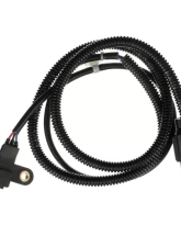 Delphi Engine Crankshaft Position Sensor Hyundai Santa Fe 2001-2004 2.4L 4-Cyl                                     - SS11171 - Image 3