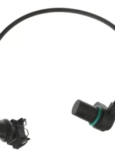Delphi Engine Camshaft Position Sensor BMW Intake                                     - SS11200 - Image 3