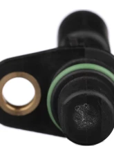 Delphi Engine Camshaft Position Sensor                                     - SS11301 - Image 3