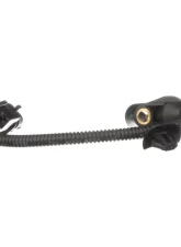 Delphi Engine Crankshaft Position Sensor                                     - SS11307 - Image 2