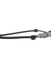 Delphi Engine Crankshaft Position Sensor Volkswagen 1.9L 4-Cyl                                     - SS11338 - Image 7