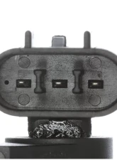 Delphi Engine Camshaft Position Sensor                                     - SS11365 - Image 4