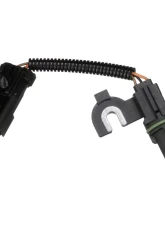 Delphi Engine Camshaft Position Sensor                                     - SS11380 - Image 8