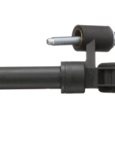 Delphi Engine Crankshaft Position Sensor                                     - SS11412 - Image 2