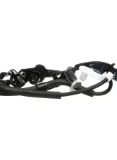 Delphi ABS Wheel Speed Sensor Toyota Front Right                                     - SS11656 - Image 2