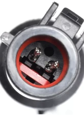 Delphi ABS Wheel Speed Sensor Rear                                     - SS11677 - Image 4