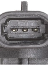 Delphi Engine Camshaft Position Sensor                                     - SS11918 - Image 4