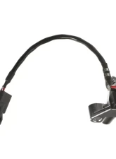 Delphi Engine Camshaft Position Sensor                                     - SS11942 - Image 3