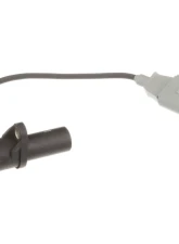 Delphi Engine Crankshaft Position Sensor                                     - SS11967 - Image 8