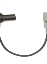 Delphi Engine Crankshaft Position Sensor                                     - SS11967 - Image 3