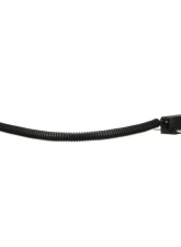 Delphi Engine Crankshaft Position Sensor Jeep Cherokee 2000-2001 4.0L 6-Cyl                                     - SS12007 - Image 2